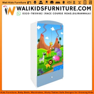 Cartoon Kids Wardrobe in Gujranwala - 2 Door Fun Storage Cabinet