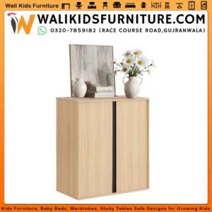 Mini Storage Wardrobe in Gujranwala | Compact & Practical Toy Storage